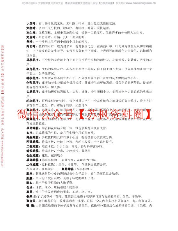 植物分类学